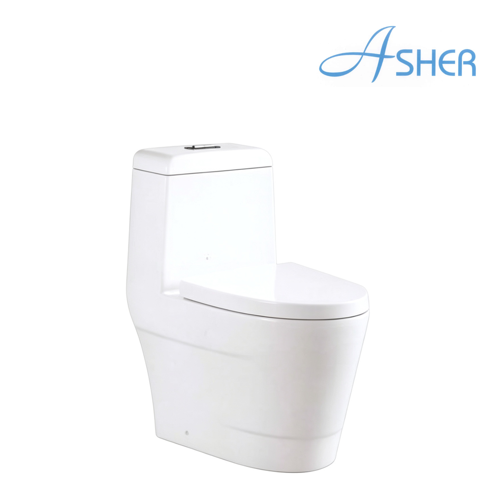 Asher C 1101S S-Trap 250mm One Piece Water Closet Dual Flush Soft Close Seat Cover Jamban Duduk