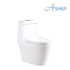 Asher C 1101S S-Trap 250mm One Piece Water Closet Dual Flush Soft Close Seat Cover Jamban Duduk