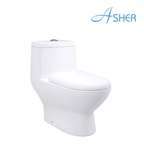 Asher C 1108 S/P S-Trap 250mm P-Trap 180mm One Piece Water Closet Dual Flush Jamban Duduk