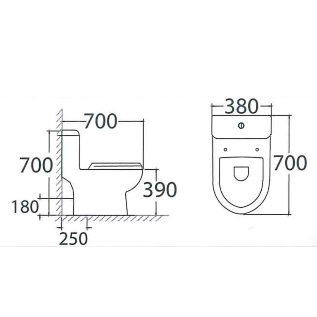 Asher C 1108 S/P S-Trap 250mm P-Trap 180mm One Piece Water Closet Dual Flush Jamban Duduk