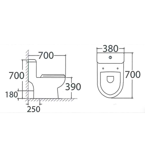 Asher C 1108 S/P S-Trap 250mm P-Trap 180mm One Piece Water Closet Dual Flush Jamban Duduk