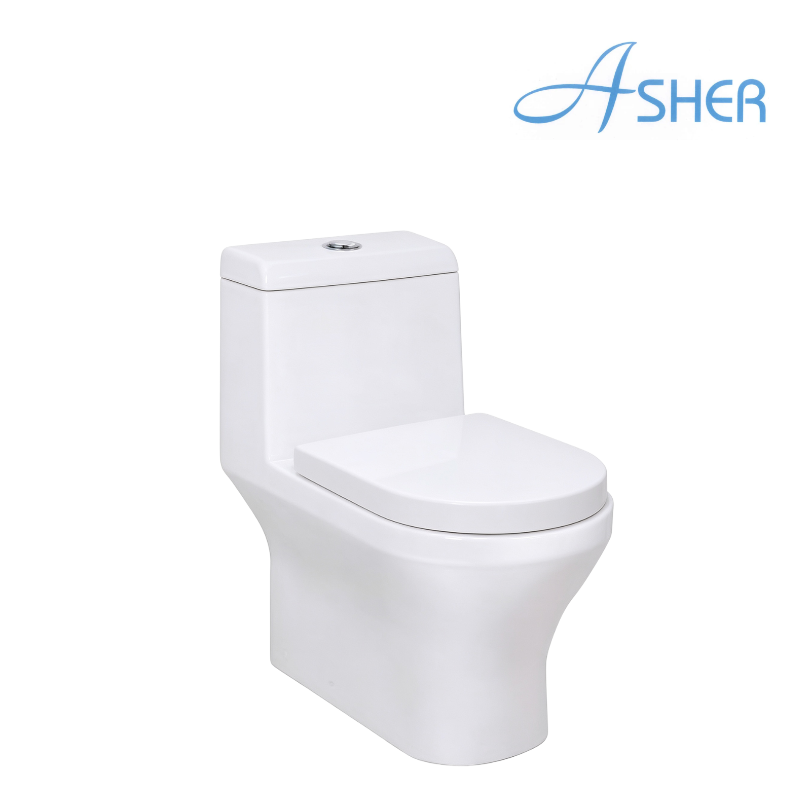 Asher C 304 S One Piece Water Closet S-Trap 200mm Dual Flush Soft Close Seat Cover Jamban DUduk