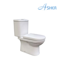 Asher C 138 P/S Close Coupled Water Closet Dual Flush Button S-Trap 250-300mm P-Trap 190mm P to S Jamban Duduk