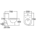 Asher C 138 P/S Close Coupled Water Closet Dual Flush Button S-Trap 250-300mm P-Trap 190mm P to S Jamban Duduk
