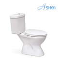 Asher C 111 S Close Coupled Water Closet S-Trap 250mm Dual Flush Button Soft Close Seat Cover Jamban Duduk