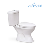 Asher C 111 S Close Coupled Water Closet S-Trap 250mm Dual Flush Button Soft Close Seat Cover Jamban Duduk