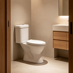 Asher C 111 S Close Coupled Water Closet S-Trap 250mm Dual Flush Button Soft Close Seat Cover Jamban Duduk