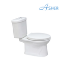 Asher C 118 S Close Coupled S-Trap 505mm 20 inch Single Flush Top Push Button with Non Soft Close Seat Cover Jamban Duduk