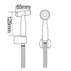 Saniware SWP-SS-304-81 Silver Push Button Bidet Spray Set with Holder and Flexible Hose Suitable for: Toilets and Bathrooms Requiring Personal Hygiene and Rinsing
