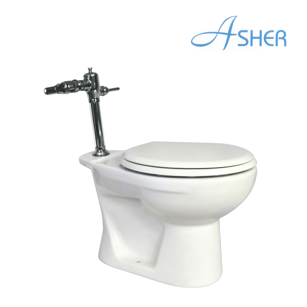 ASHER C 115 SFV Public WC Toilet Bowl S-Trap 150mm with Exposed Flush Valve & Seat Cov Tandas Komersial