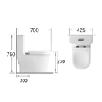 Saniware WC-2096 White 750mm Ceramic One-Piece Washdown Toilet Sinki Tandas Bilik Mandi S-Trap 300mm Roughing-In Siphonic Flushing Squat-Friendly Design For Bathroom Renovation & Modern Homes