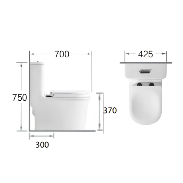 Saniware WC-2096 White 750mm Ceramic One-Piece Washdown Toilet Sinki Tandas Bilik Mandi S-Trap 300mm Roughing-In Siphonic Flushing Squat-Friendly Design For Bathroom Renovation & Modern Homes