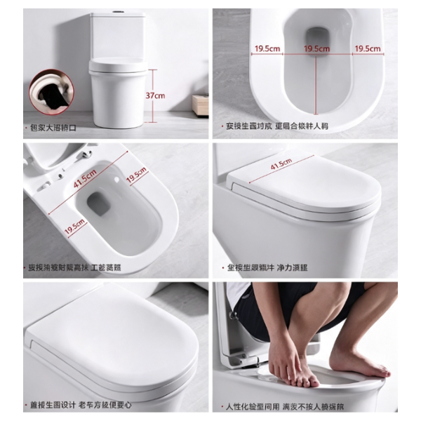 Saniware WC-2096 White 750mm Ceramic One-Piece Washdown Toilet Sinki Tandas Bilik Mandi S-Trap 300mm Roughing-In Siphonic Flushing Squat-Friendly Design For Bathroom Renovation & Modern Homes