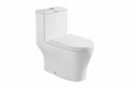 Docasa A368 P-Trap 180 S-Trap 250mm Bathroom One Piece Rimless WC Water Closet 1 Piece Jamban Duduk UF Solf Close Cantik