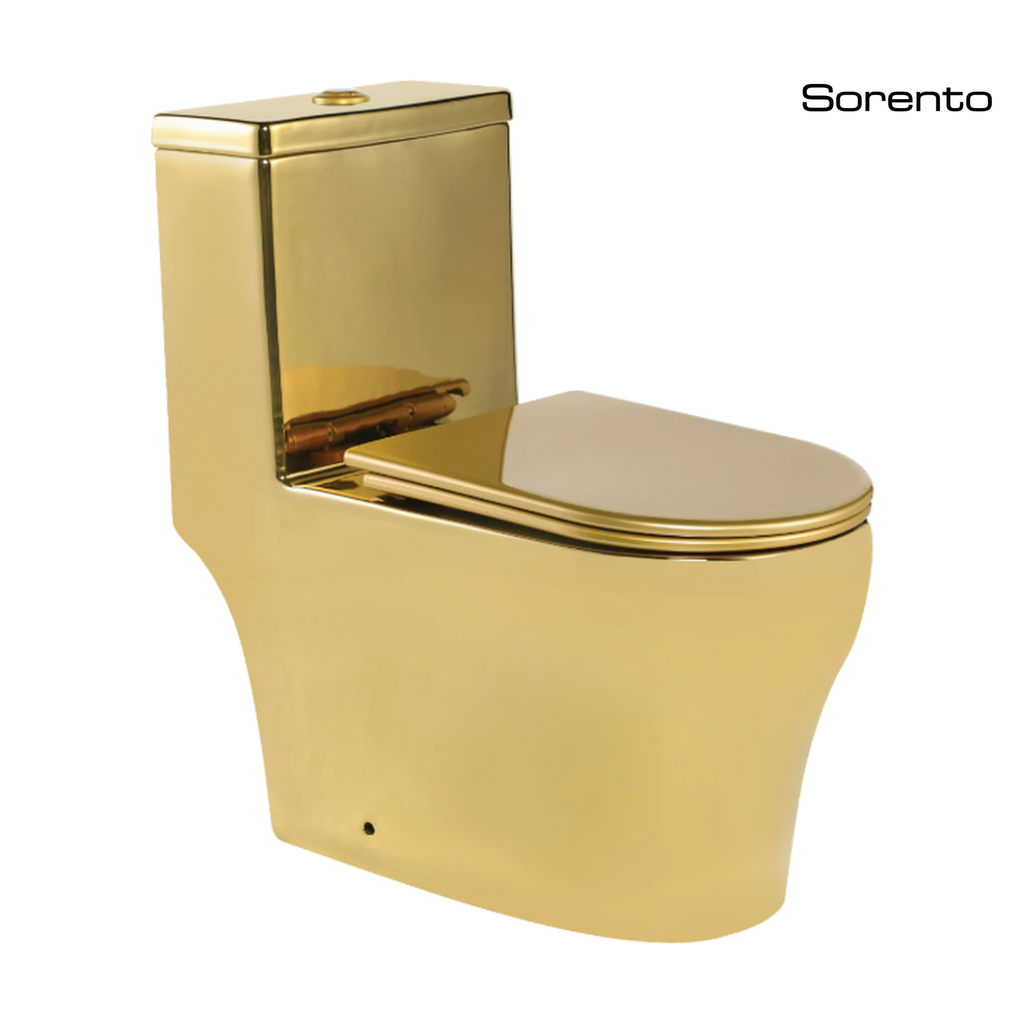 Sorento SRTWC8066-S-GY One Piece Water Closet Twister Flushing Technology S-Trap 200