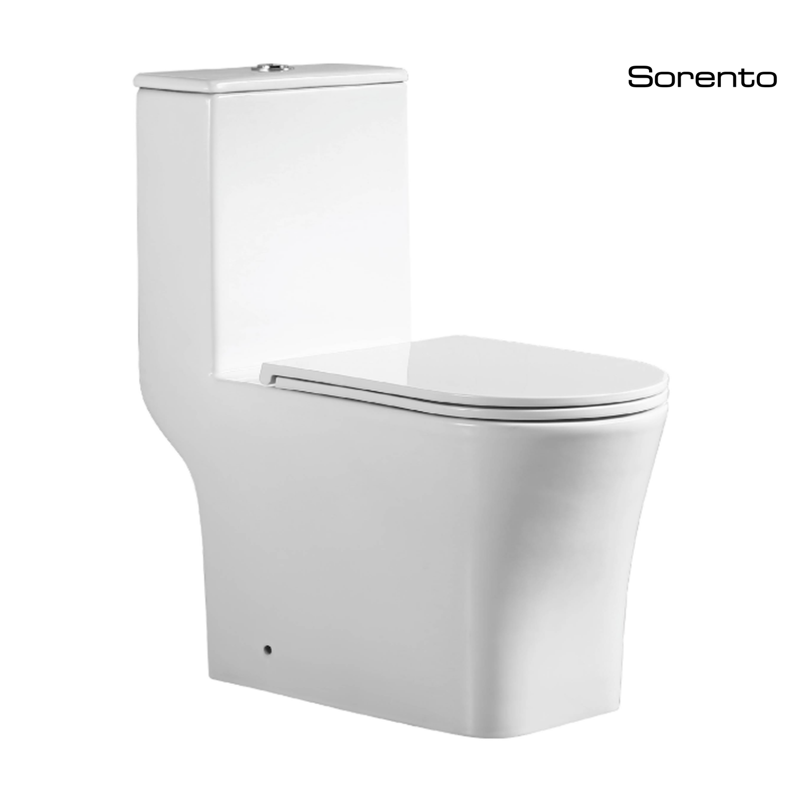 Sorento SRTWC8356-RL One Piece Water Closet Washdown With Rimless Flushing Technology S-Trap 250mm