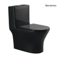 SORENTO SRTWC8383-RL-BL Matte Black One Piece WC Washdown With Rimless
