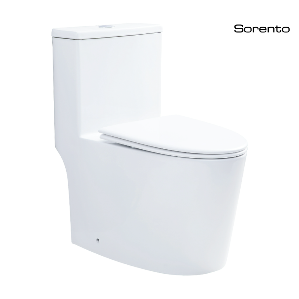 Sorento SRTWC8504-RL One Piece Water Closet Washdown With Rimless Flushing Technology S-Trap 200/250mm P-Trap 180mm