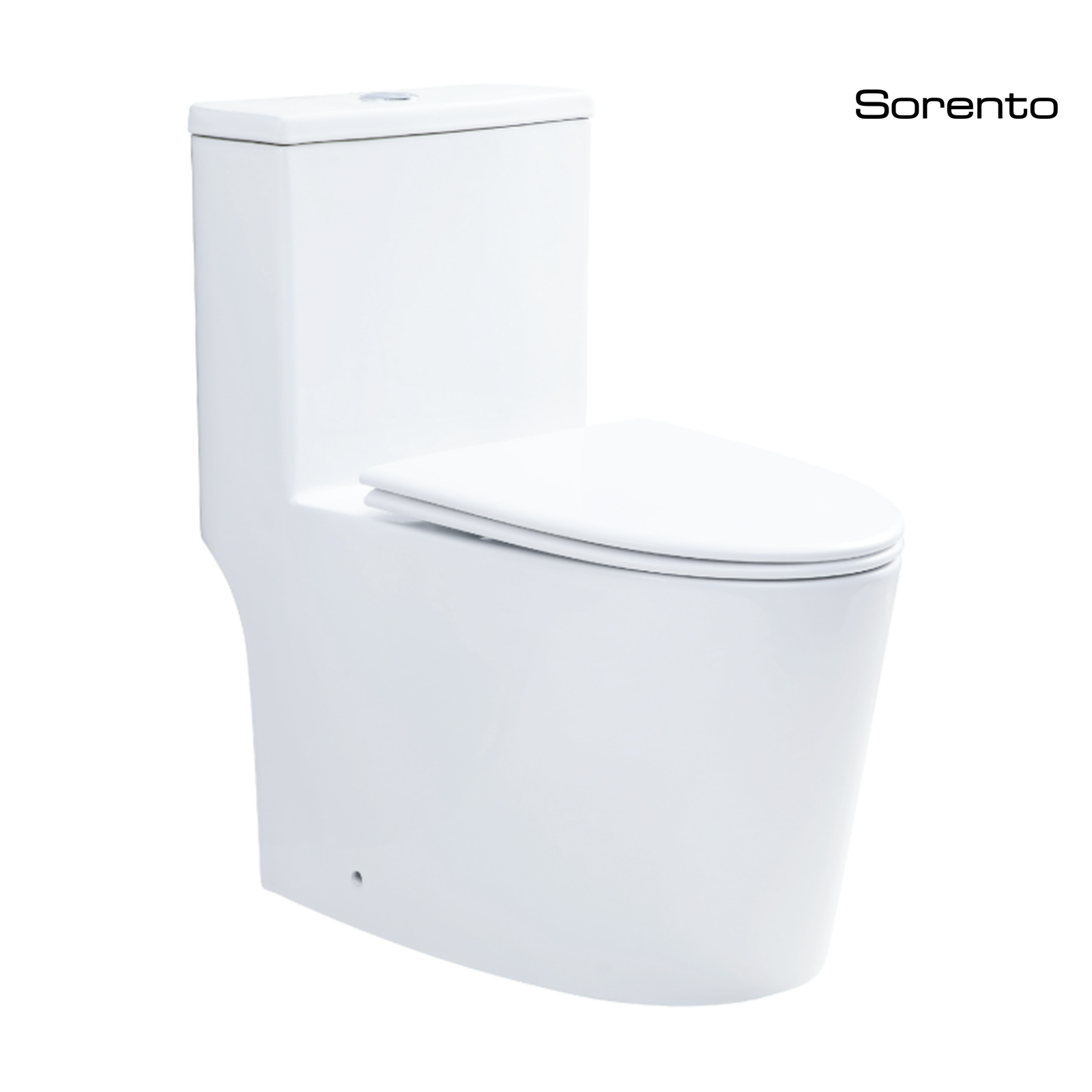Sorento SRTWC8504-RL One Piece Water Closet Washdown With Rimless Flushing Technology S-Trap 200/250mm P-Trap 180mm