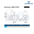 Grundfos CMB3-37PM1 0.67HP Automatic Pressure Manager Water Booster Pump | Cast Iron Housing and Stainless Steel Impellers