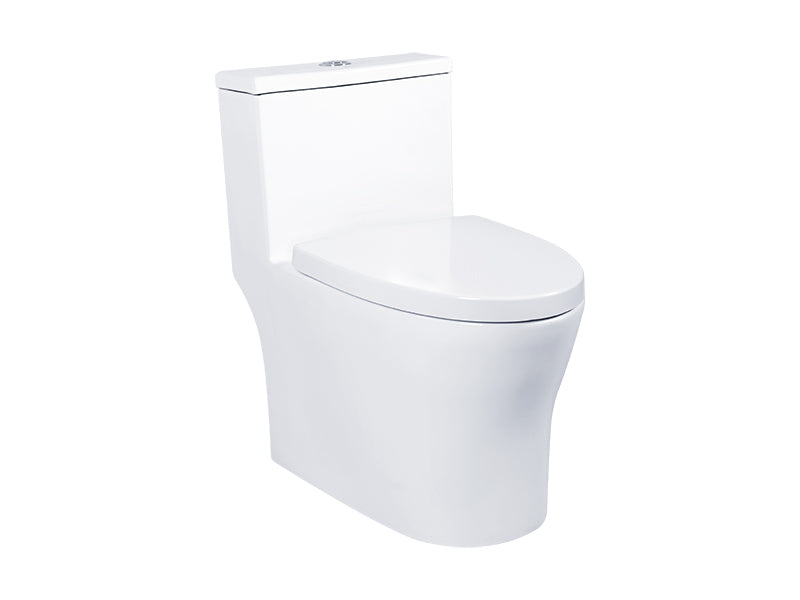 DOCASA One Piece Washdown Water Closet come with Dual Flush (3/6L)