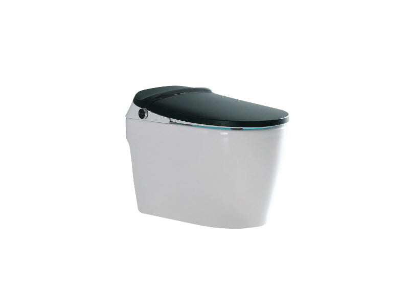 DOCASA Smart intelligent One Piece Water Closet