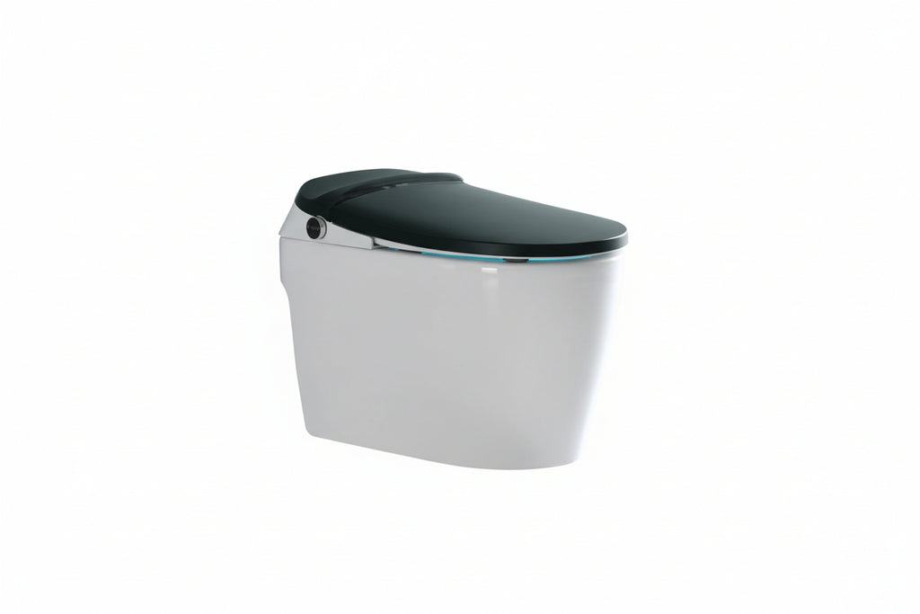 DOCASA Smart intelligent One Piece Water Closet