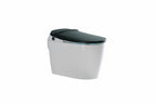 DOCASA Smart intelligent One Piece Water Closet