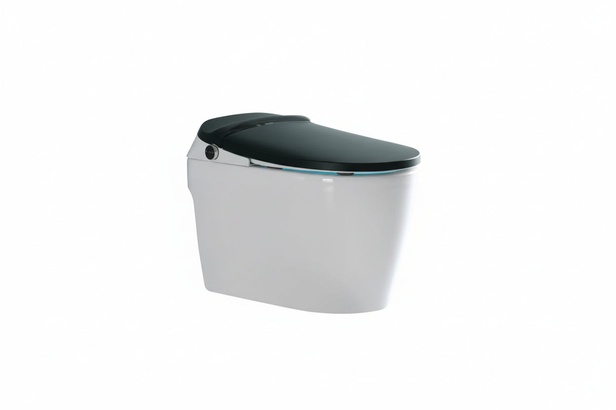 DOCASA Smart intelligent One Piece Water Closet