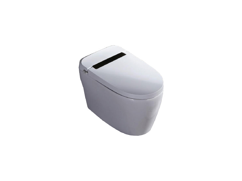 DOCASA Intelligent One Piece Water Closet