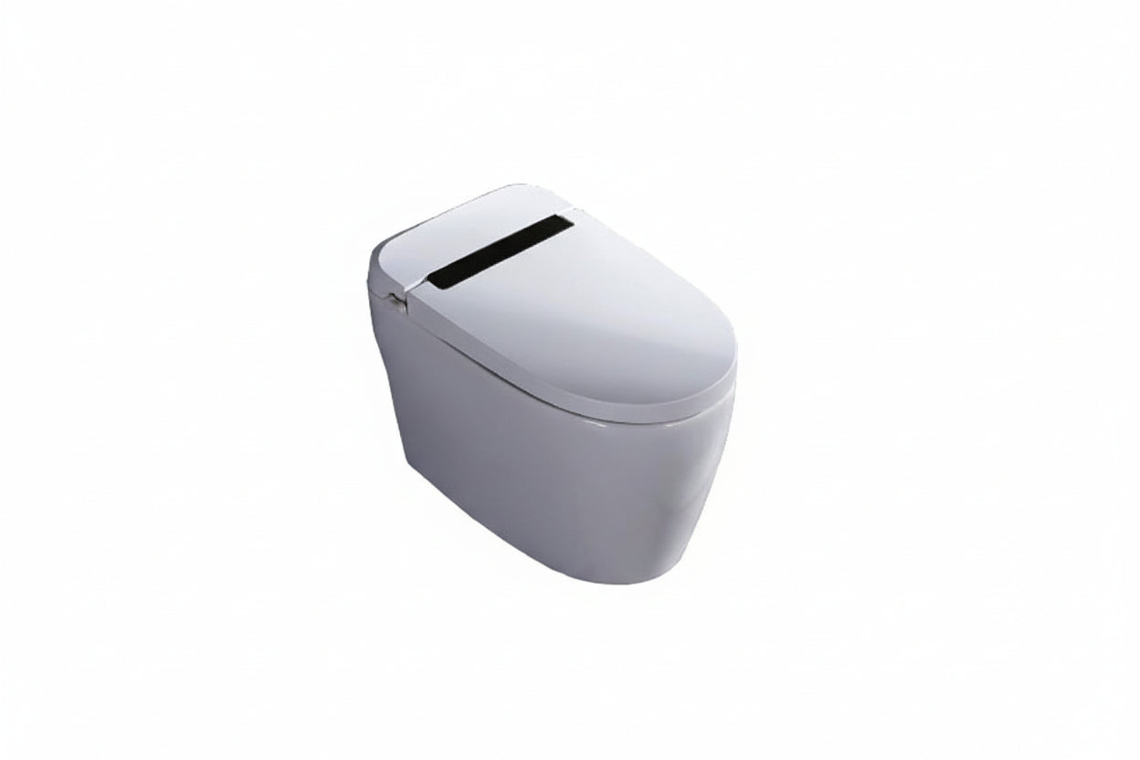 DOCASA Intelligent One Piece Water Closet