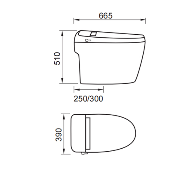DOCASA Intelligent One Piece Water Closet