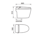 DOCASA Intelligent One Piece Water Closet