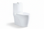DOCASA White One Piece Washdown Water Closet