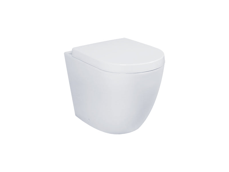 DOCASA Back to Wall Washdown Water Closet come with Back Inlet