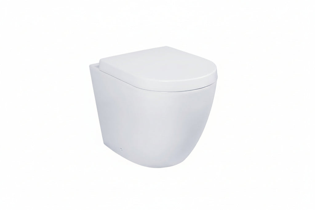 DOCASA Back to Wall Washdown Water Closet come with Back Inlet