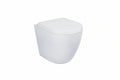 DOCASA Back to Wall Washdown Water Closet come with Back Inlet