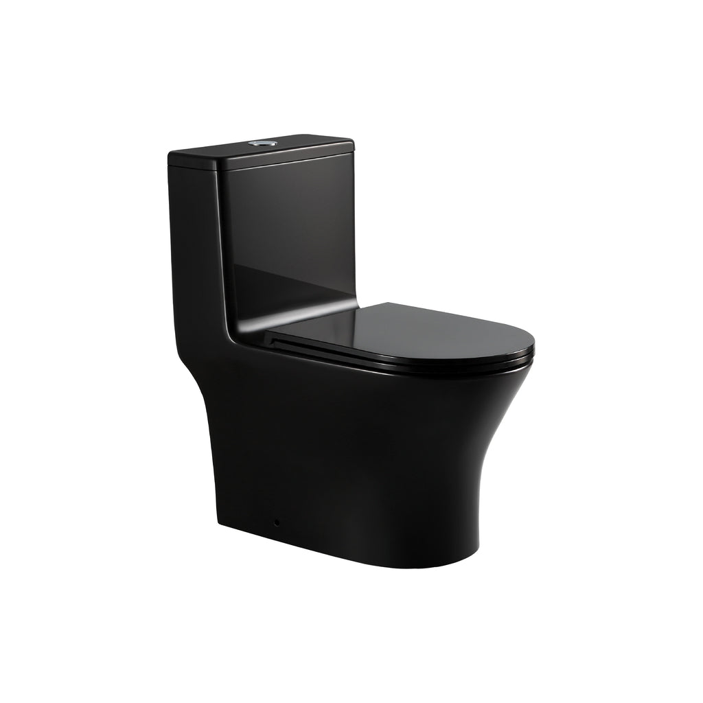 SORENTO Black One Piece WC Washdown With Rimless