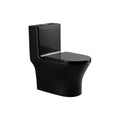 SORENTO Black One Piece WC Washdown With Rimless