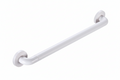 TAPI 60cm Safety Grab Bar